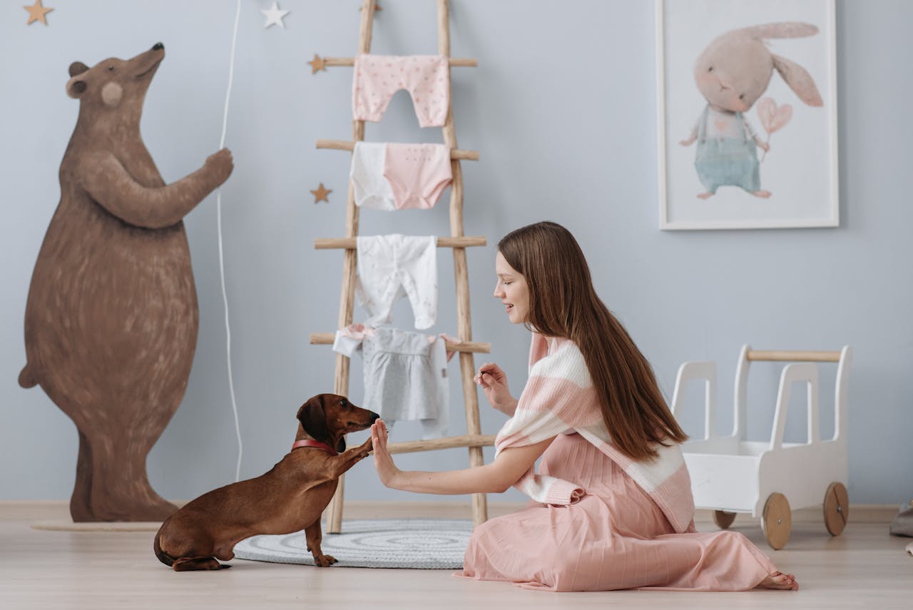 Pregnant woman training her dachshund in a cozy nursery, surrounded by cute decor.